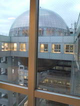 fujimaru