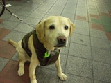 ラス