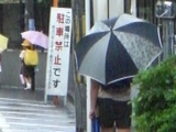 傘花3