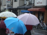 傘花6