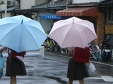 傘花7