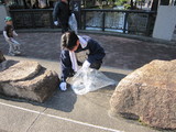 gomihiroi2