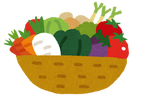 vegetable