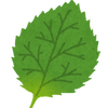 vegetable_shiso