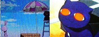 体温ですにゃ・・・