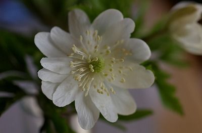 IMGP0274