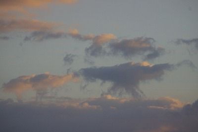 9-30天使