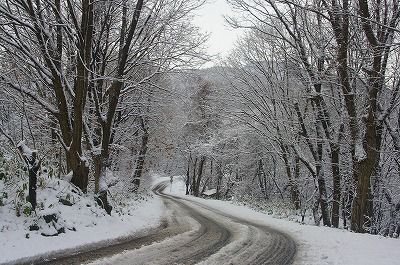 IMGP0011
