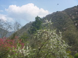 P1170047