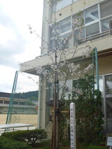 P1170040