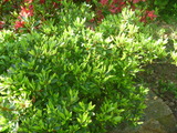 P1170061