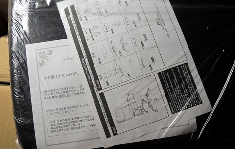 gairrebyu-kansou (5)
