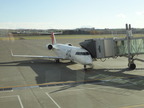 女満別 JAL