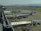 福岡空港到着
