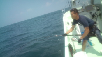 20140729110523