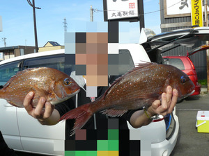 BlogPaint