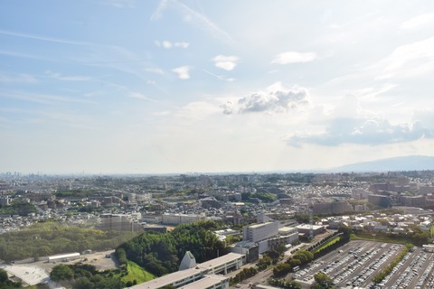 EXPO CITY 観覧車 一望