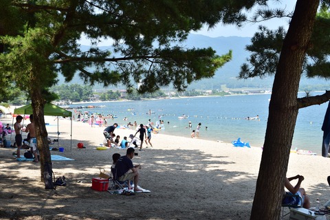 琵琶湖 夏 日陰