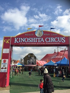 2014-12-23-12-28-08