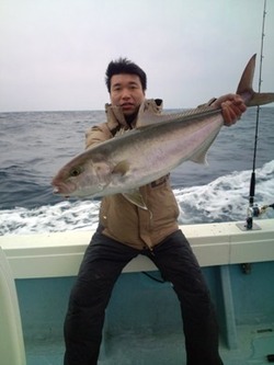 kazu14