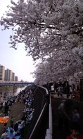 110410_1540~01