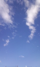 d27b7707.jpg