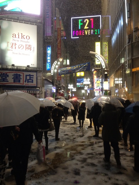 画像8