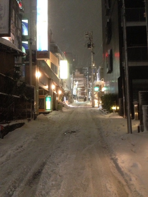 画像15