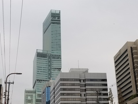 20181110_081617(0)