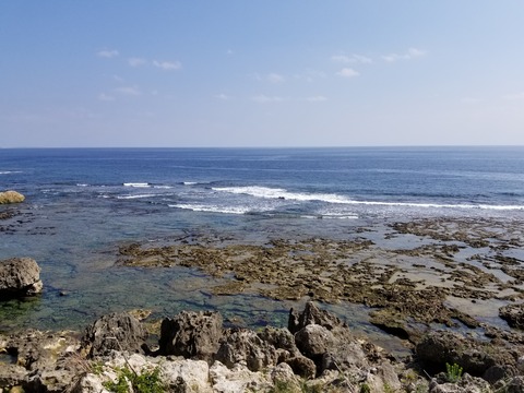 20190202_123440