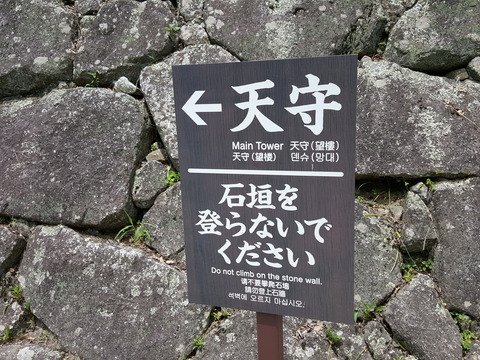 20170717_113837