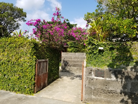 20190202_114345