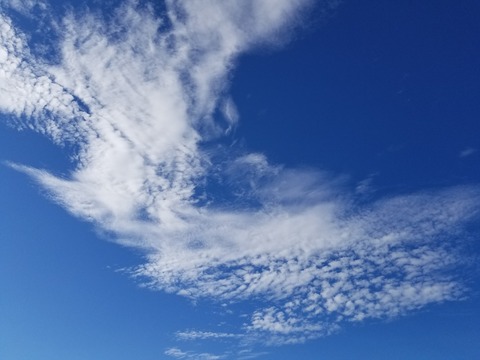 20181006_144053