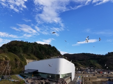 20181006_153231