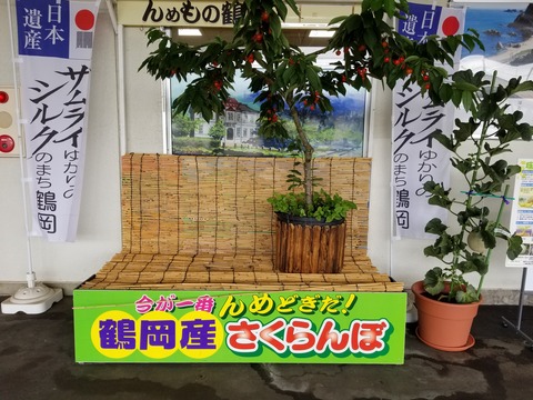 20180706_123214