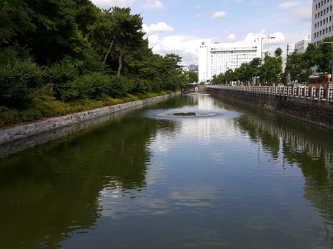 20170717_152109
