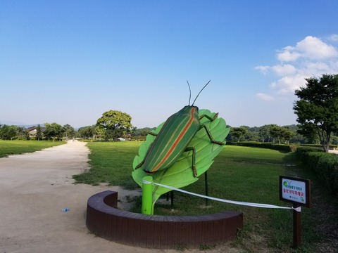 20180714_165932