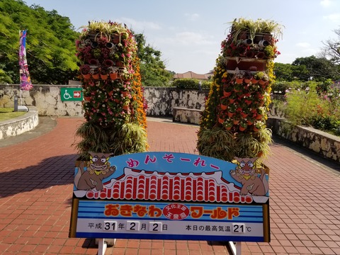20190202_131753