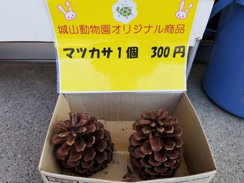 20180701_135542