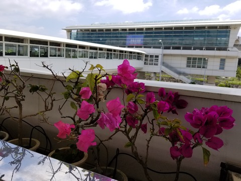 20180506_104444