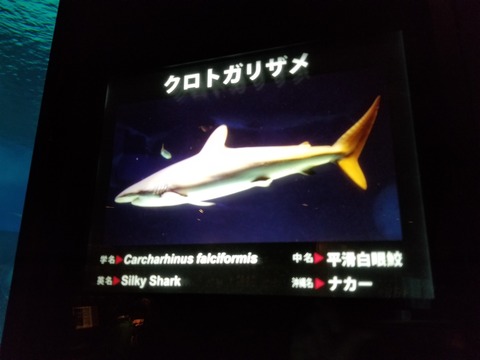 20180127_103307
