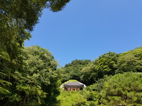 20180715_102731
