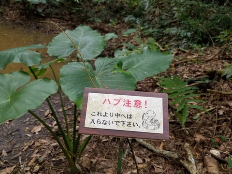 20180128_105711