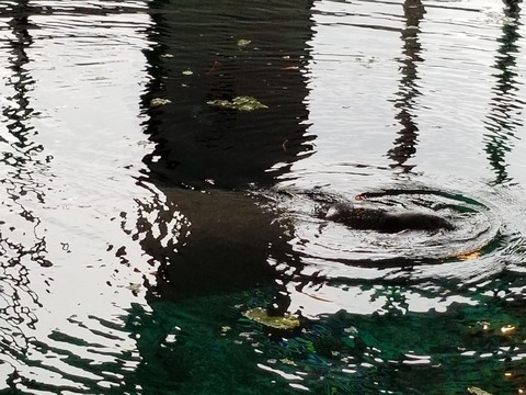 20180127_105456