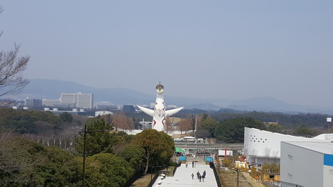 IMG_7x1ss8