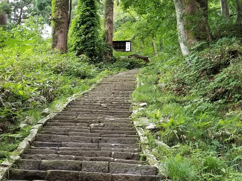 20180706_155109
