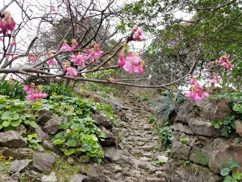 20180127_125810