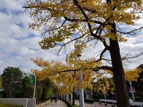 20181110_094735