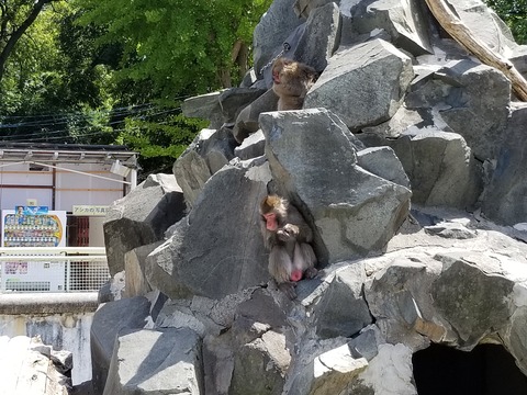 20180701_135722