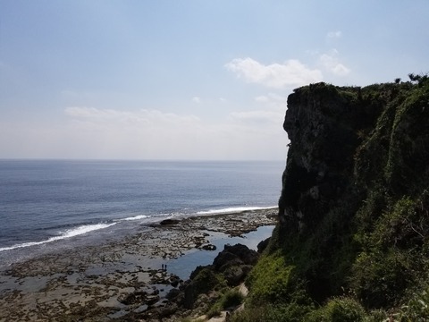 20190202_123034